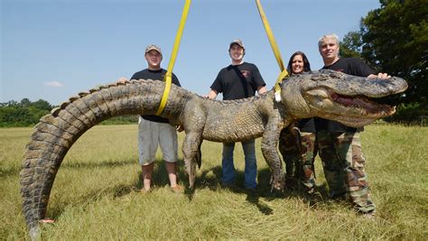 Worlds Largest Crocodile Ever Recorded