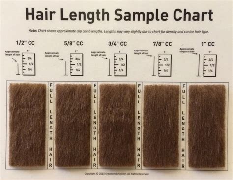 Andis Dog Clipper Blade Sizes Chart at Sherry Ramos blog
