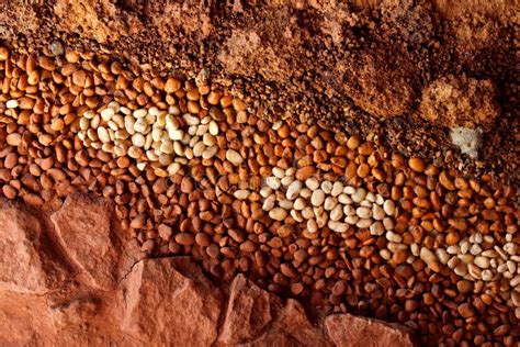 Earth Layer Texture 的图像结果