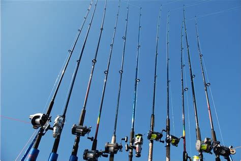 Image result for Fishing Rod Types