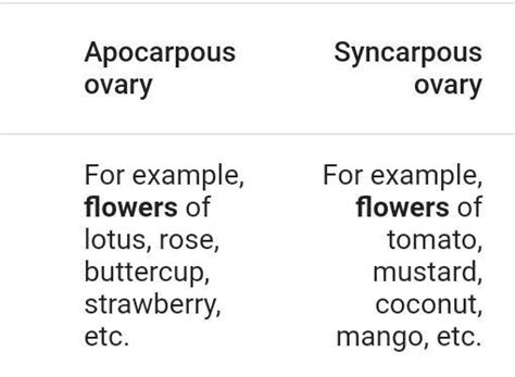 for which parts of flowers the term apocarpous and Syncarpous is used ...