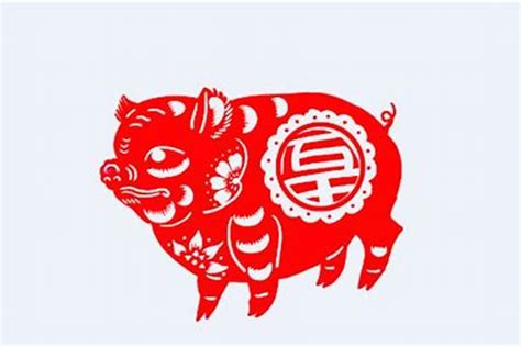 九五年属猪人在2023年农，59年属猪住几楼最好_生肖_若朴堂文化