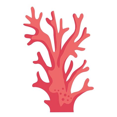 Korallenriff Bilder - Kostenloser Download auf Freepik