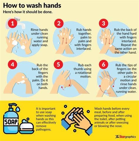 Why Is Important Wash Your Hands