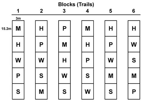 Image result for Randomized Complete Block Design Layout