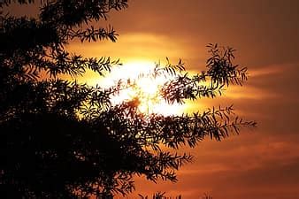 Image result for Linux Command ARP
