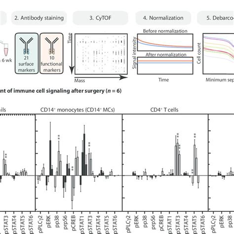 Image result for Barcoding Mass Cytometry