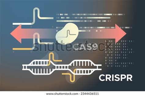 Image result for Multigene Editing Vector