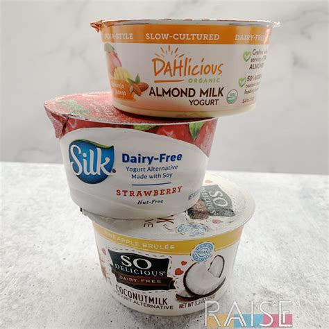 Dahlicious, Silk, and So Delicious Dairy Free Yogurt Product Review
