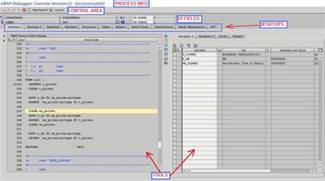 Image result for Basic Debugging SAP Program