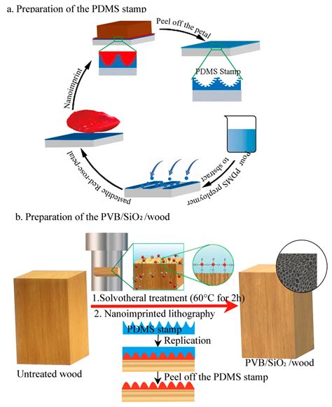 Recent Advances in Superhydrophobic Surfaces and Applications on Wood