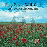 Image result for Vfw Buddy Poppy Displays