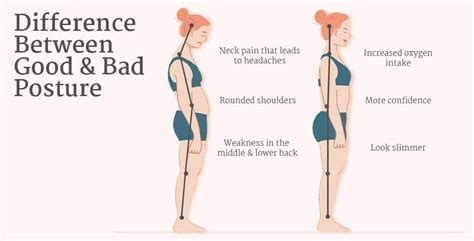 Lower Back Alignment 的图像结果