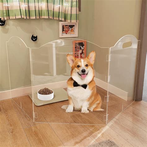 Amazon.com : Dog Gate, Clear Acrylic Pet Gate for Dogs, Free Standing ...