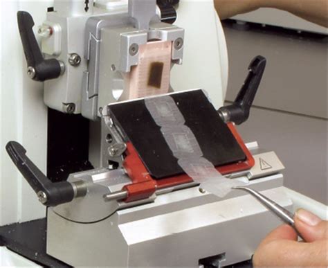 Microtomes and Staining in Histology: Tools and Techniques for ...