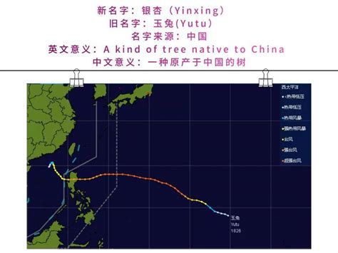6个新台风名字上线！给江苏带来严重灾害的“利奇马”更替为“竹节草”