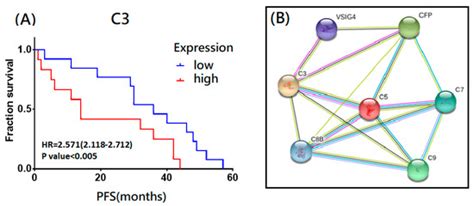 The Potential Role of Complement System in the Progression of Ovarian ...