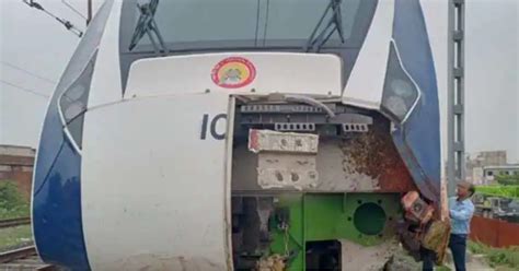 After Colliding With Buffaloes, Vande Bharat Express Hits Cow