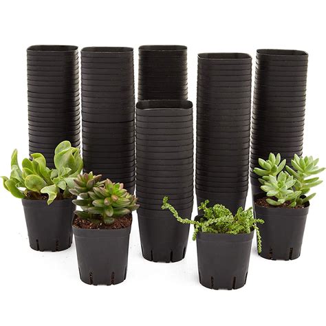 150 Pack Square Nursery Plastic Flower Pots Containers, 2.6 inch Black ...
