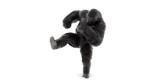 Gorilla Animated - Realistic Gorilla Animated 18+ Animations ...