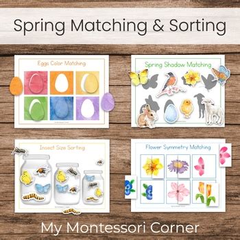 Image result for Spring Preschool Sorting Activities