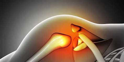 Image result for Bone Health Tips