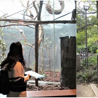 Image result for Animal Behaviour Continuous Sampling