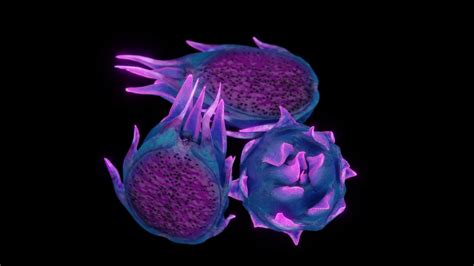 Image result for Alien Fruit Machine