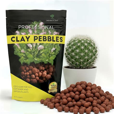 Perlite vs Vermiculite: Which One Do Your Plants Actually Need? – Leaves and Soul