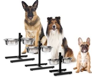 Rvpaws Stainless Steel Feeding Bowl Set of 2 with Height-Adjustable ...
