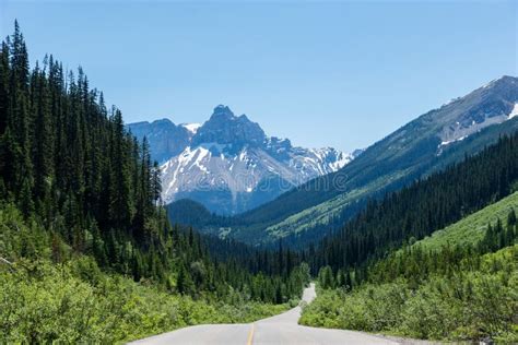 Road 的图像结果