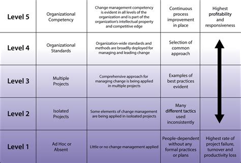 Change Management Maturity Model 的图像结果