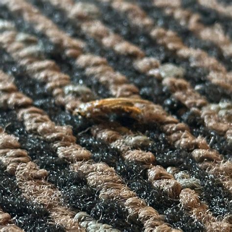 QUALITY INN WARSAW I-40 - Hotel Reviews & Photos - Tripadvisor