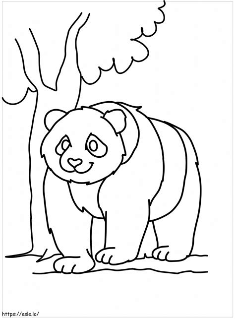 Giant Panda Coloring Page - Ark for Kids