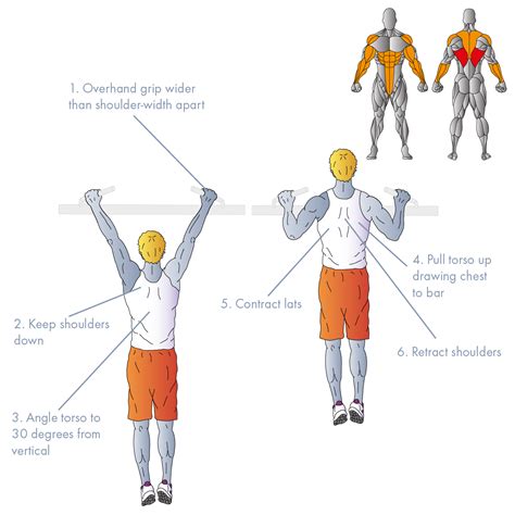 Pull Up Vs Chin Up Muscles Worked