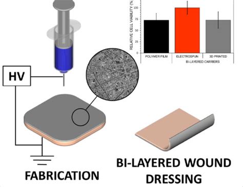 Bi-Layered Polymer Carriers with Surface Modification by ...