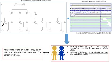 A Spanish Family with Gordon Syndrome Due to a Variant in the Acidic ...
