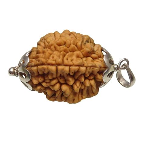 Arihant Gems and Jewels® 2 Mukhi Indian Rudraksha with Silver Pendant ...