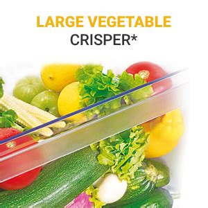 Whirlpool 190 L 3 Star ( 2019 ) Direct Cool Single Door Refrigerator ...