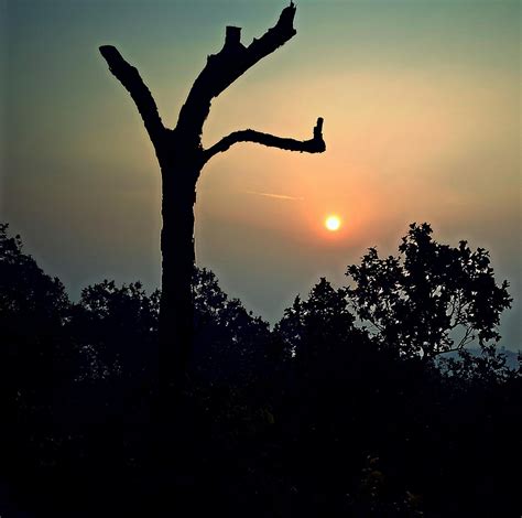 NETARHAT (QUEEN OF CHOTANAGPUR) (2026) All You Need to Know BEFORE You ...