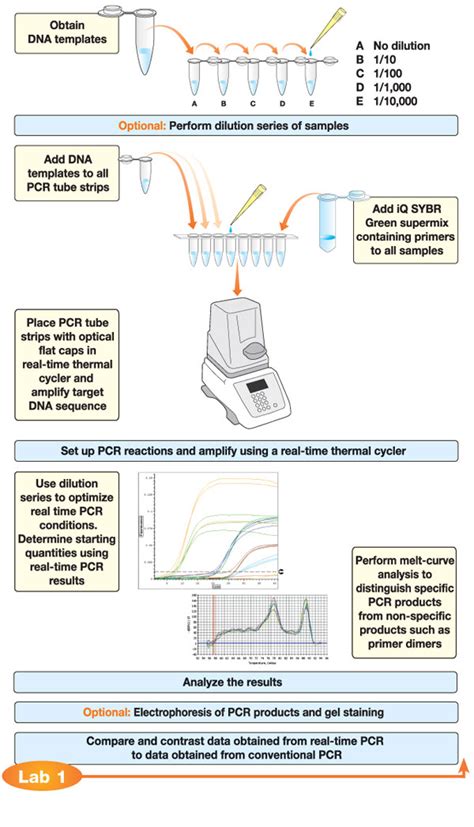 Image result for Real-Time PCR For Dummies