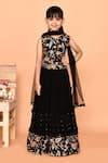 Buy Black Georgette, Net Sequins, Embroidery Floral Lehenga Blouse Set ...