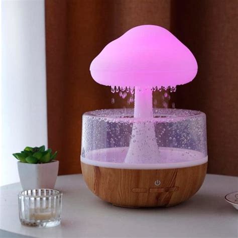 Rainmaker Humidifier 的图像结果