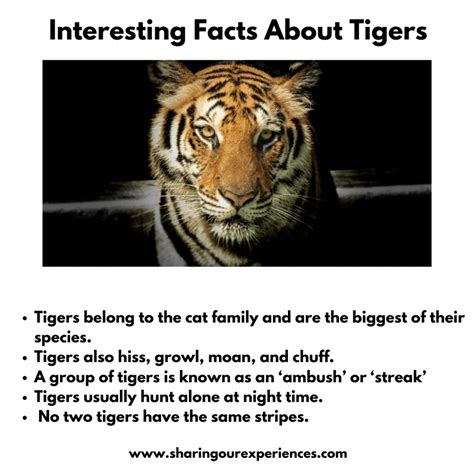 Interesting Facts About Animals