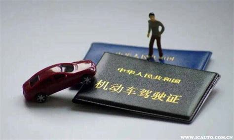 中国驾照在哪些国家可以使用？_车主指南