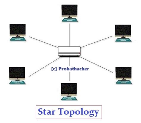 Network 的图像结果