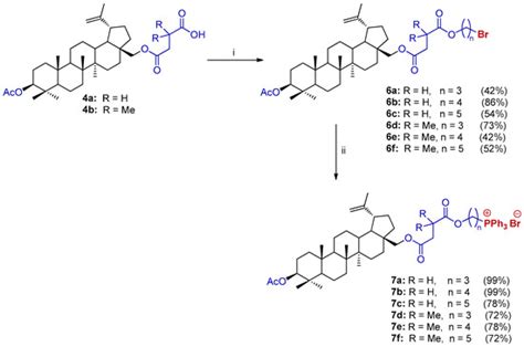 Design, Synthesis and Preliminary Evaluation of the Cytotoxicity and ...