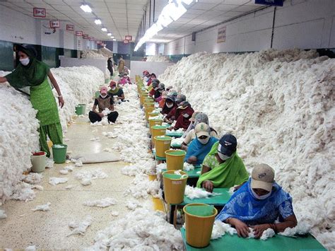 UP: Future of Amroha’s Famous Cotton Waste Industry Hangs by a Thread ...