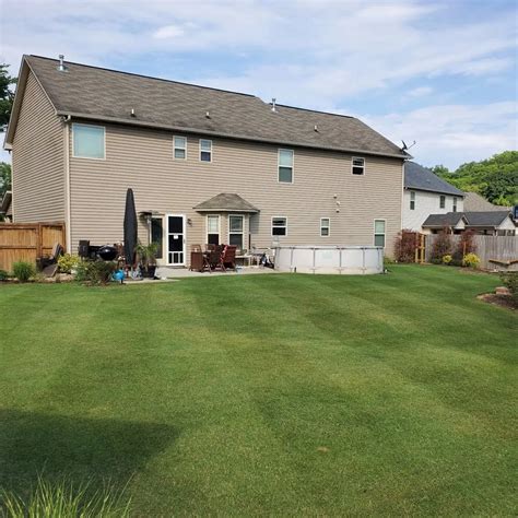 Sunday Lawn Care Reviews: Is This Lawn Care Solution Worth It? - Heaven ...