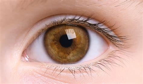 45 Facts About Eyes - OhMyFacts